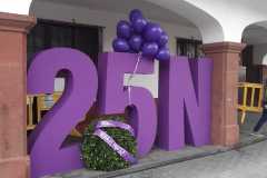 IMG-20211125-WA0022