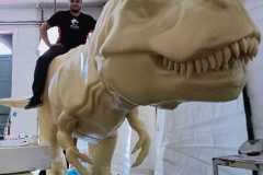 IMG-20220506-WA0011