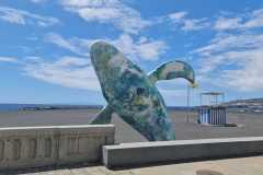 IMG-20230830-WA0148