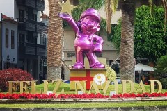 IMG_20211205_091350_046