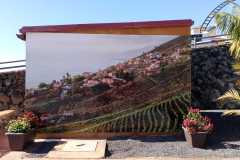 IMG-20230310-WA0009