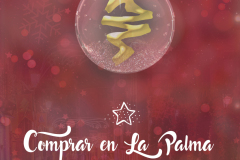 Cartel-Promo-navidad-la-palma-imprimir