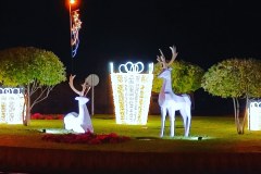 IMG_20211211_091557_794