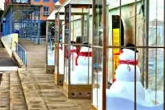 IMG_20221212_210922_834