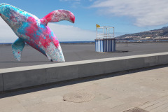 IMG-20210210-WA0002